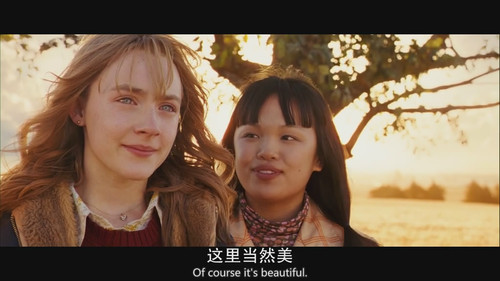 绝美的悲剧——《可爱的骨头》 西尔莎·罗南--爱尔兰