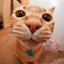 Oliver_Louis13