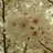 JackieGui/1513882/1-01-01 00:00