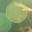 陆离__
