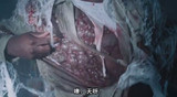 迷雾 (4)
