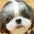 Fannie慧慧
