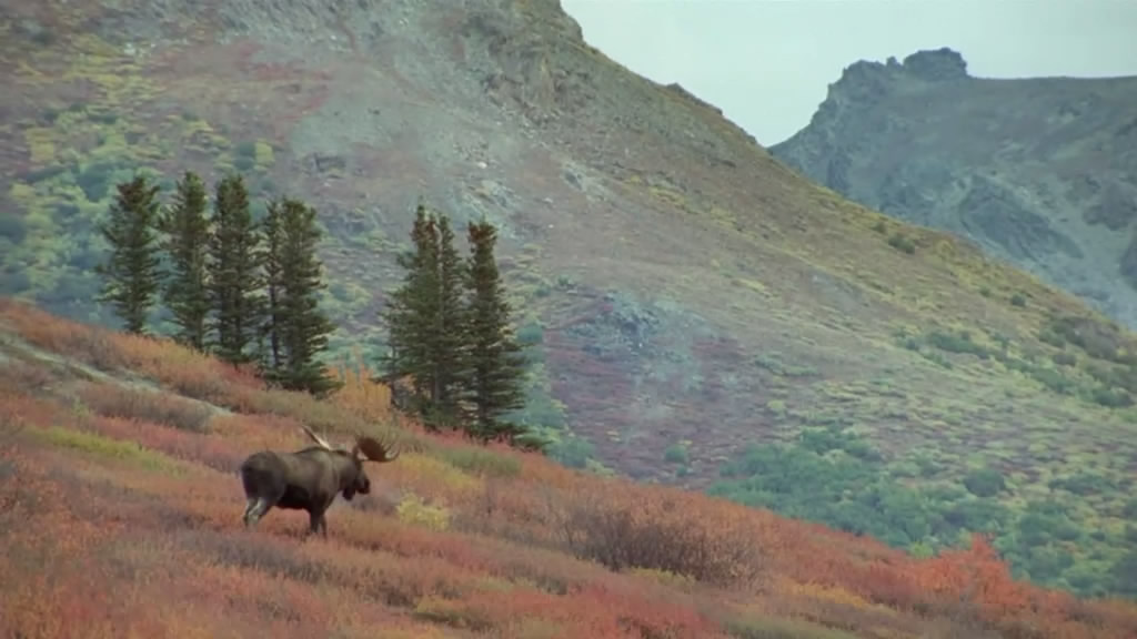 电影最后的猎人国语版_套图_城市猎人国语版