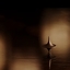 Harry_Luxo