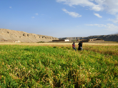 DSCN9583