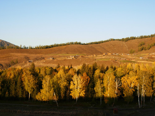 DSCN0954
