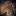 _sophia_ 1424415