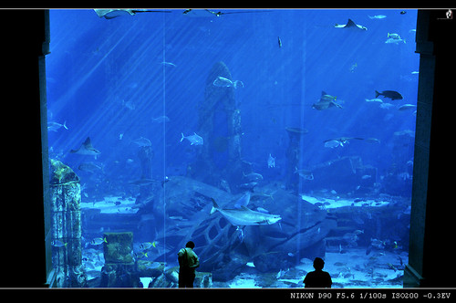 【出行游记】迷糊游中东(2)入住亚特兰蒂斯 行