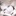 Fed04 5630032