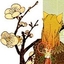 阿shi