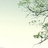 yimi