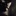 Menis… 1798952