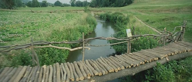 雏菊电影画画图片