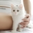 小花猫