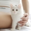 小花猫