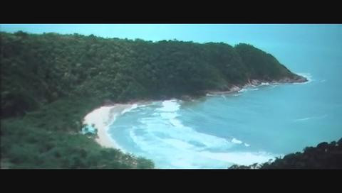 breaking dawn(抢鲜blood)