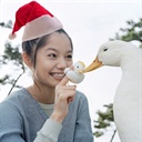 划根火柴就是爱(2374087)