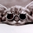 Nimrodel
