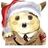 21stfox