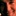derek… 4068146