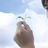 蜜蜂的哲学