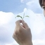 蜜蜂的哲学