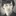 menchhichi 5949214