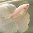Rango/1866555/1-01-01 00:00