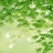 晴雨韶光