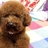 youku_so