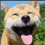 闰土