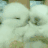 小兔哥1464570/1464570/1-01-01 00:00