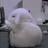 BackB