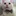 果子猫 4461450