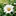 Daisy_an 6099501