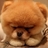 小兔芭比