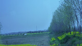 微博桌面截图_20120409070441
