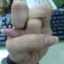 格格巫5138646