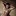 Taylo… 5642479