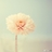 vikisummer/6324620/1-01-01 00:00