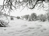 06－04－12snow