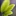 viit 1620556