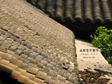 conew_img_4331副本