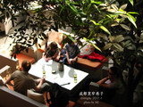 conew_img_4345副本