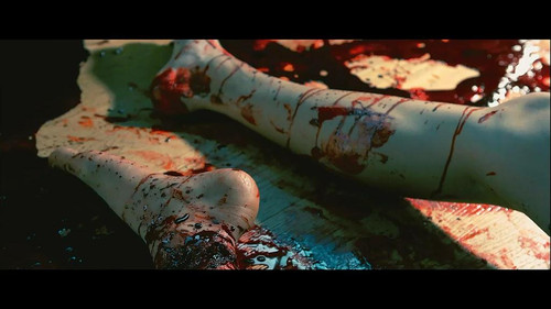 寄生灵--挺吓人的 有图有真相