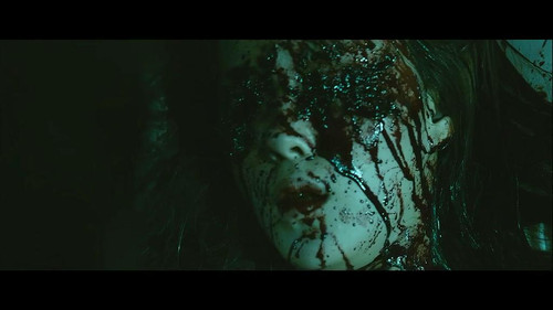 寄生灵--挺吓人的 有图有真相