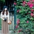 miss_elaine