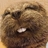 kumu