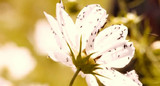 snapshot20120508024250
