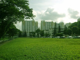 26052012379